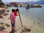 Pisaetos - Ithaki - Ithaca - Foto 099
