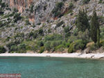 Pisaetos - Ithaki - Ithaca - Foto 101